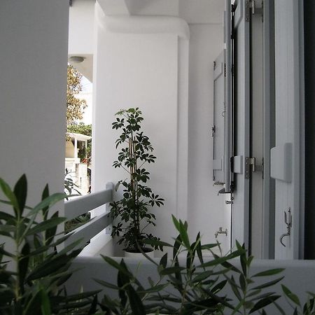 Aelia Apartments Naxos City 외부 사진
