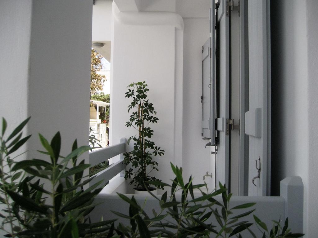 Aelia Apartments Naxos City 외부 사진